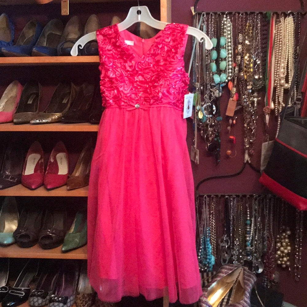 NWT Perfect Pink Dress